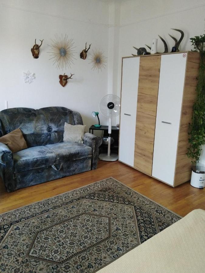 Sun Cluj Apartment Екстериор снимка